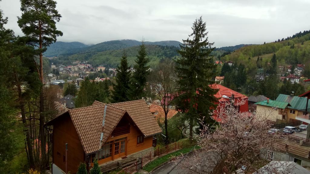Casa Adina Hotel Sinaia Exterior foto