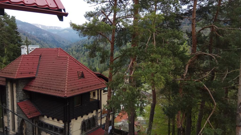 Casa Adina Hotel Sinaia Exterior foto
