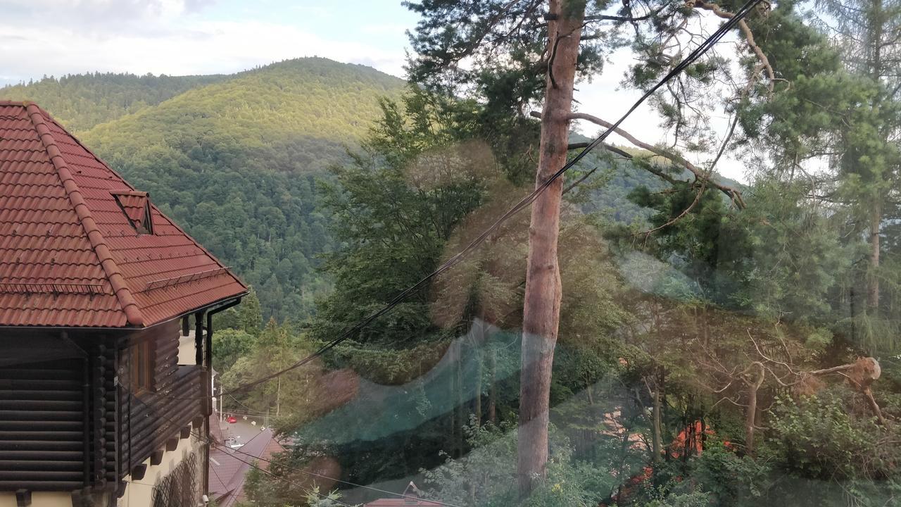 Casa Adina Hotel Sinaia Exterior foto